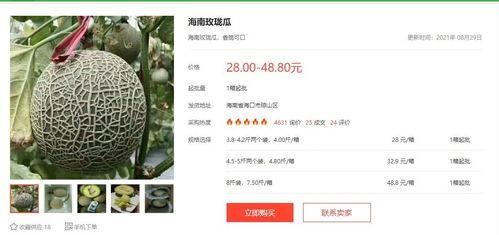 吃瓜娱乐圈文字版小说