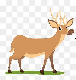 鹿漫画,穿越时空的奇幻之旅