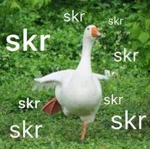 吃瓜群众的意思和造句怎么写